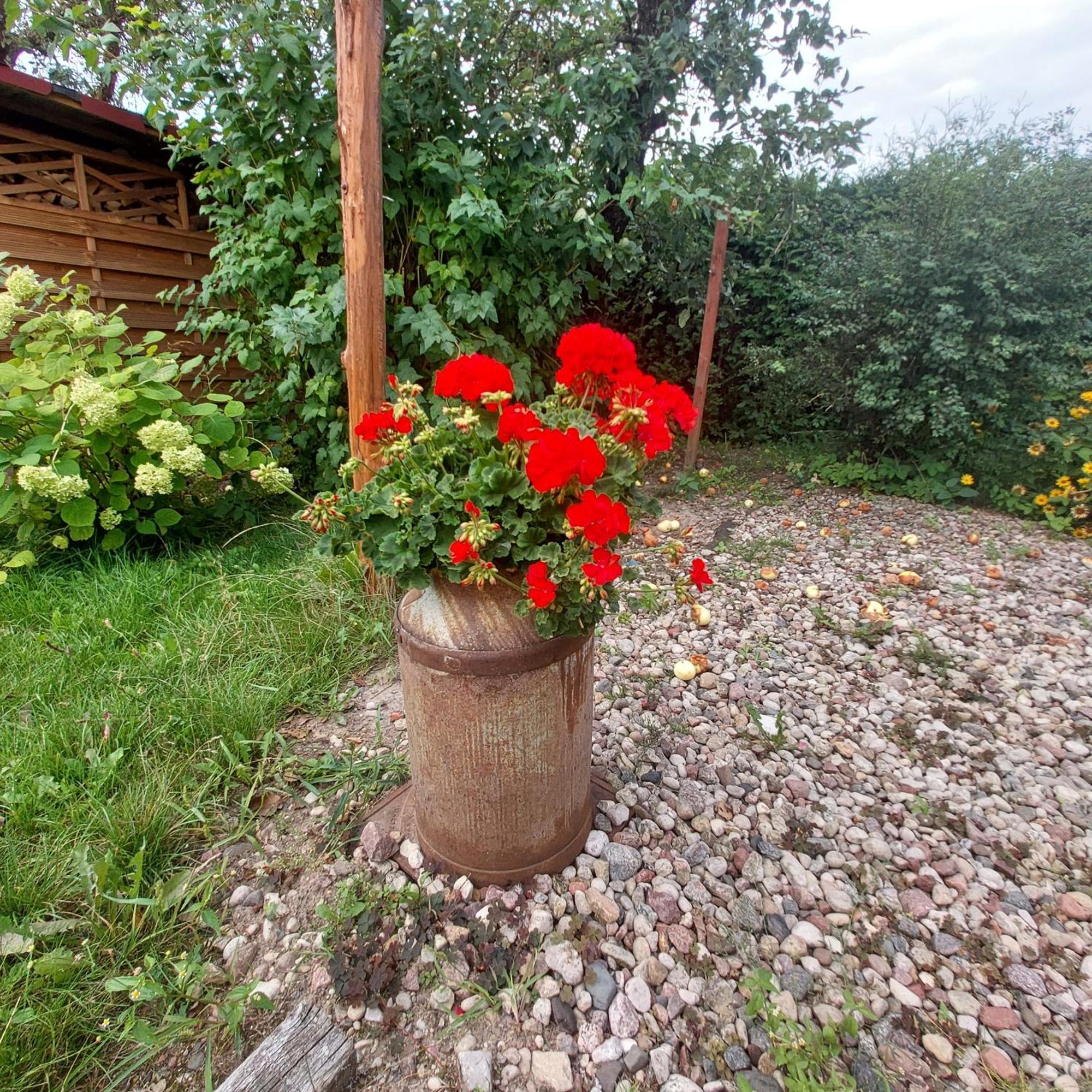 Mazury Home กีจิซโก ภายนอก รูปภาพ